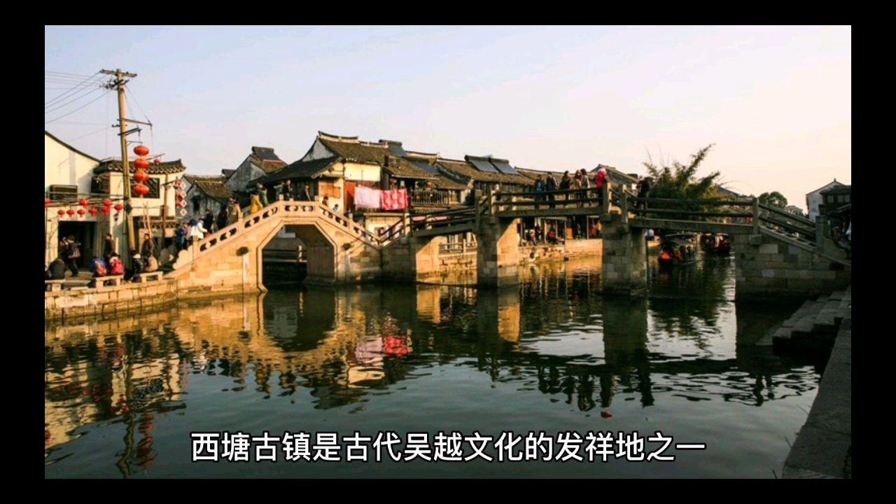 美人鱼的聚会